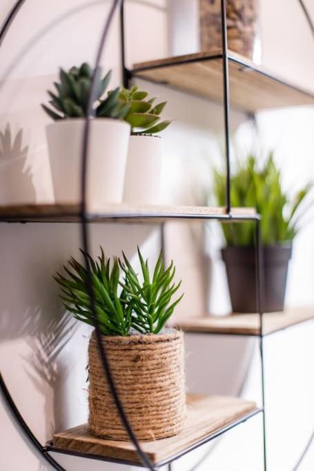 Forest Chic : Maison San Marina Daire Parmain Dış mekan fotoğraf